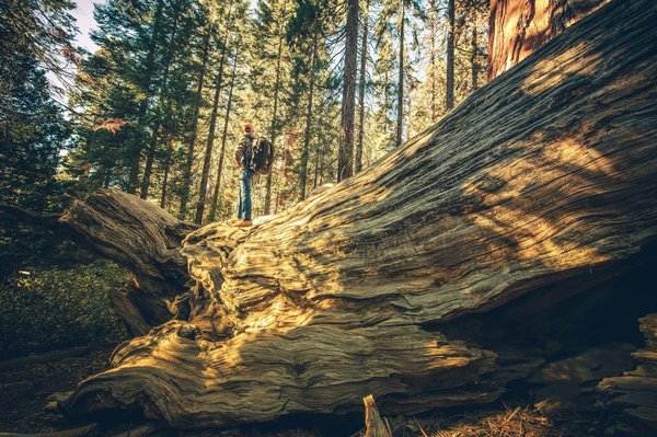 How to navigate the UK's antique and flea markets for unique finds?