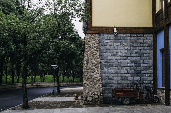 Which UK botanical gardens offer the best guided tours focusing on medicinal plants?