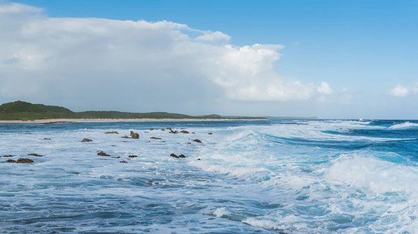 Which UK castles offer the most authentic medieval banquets and feasts?