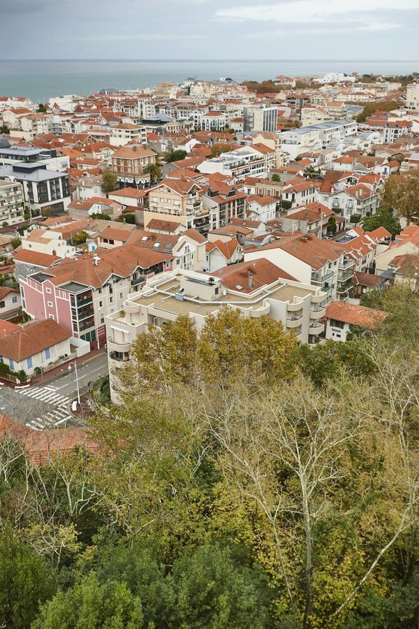 What are the best locations in the UK for observing and photographing wild deer?